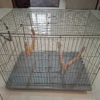 قفس پرنده