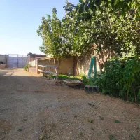 فروش-گاوداری