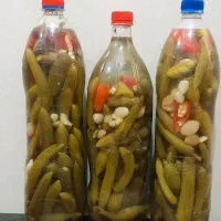 خیارشور|خوردنی و آشامیدنی|قم, محمد آباد|دیوار