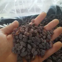 کشمش آفتابی امساله (یک دست درجه یک)|خوردنی و آشامیدنی|کرج, ساسانی (قلمستان)|دیوار