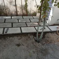 کاشیکاری ،سرامیک کاری ،موزاییک کاری( مدرن)|خدمات پیشه و مهارت|اسلام‌شهر, شهرک مهدیه|دیوار