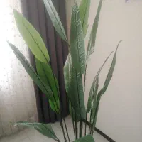 گلدان مصنوعی پرنده بهشتی|گل مصنوعی|پردیس, فاز ۱۱|دیوار