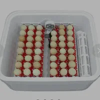 دستگاه جوجه کشی