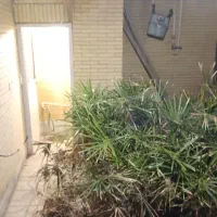 استخدام نیرو برای بنگاه بلواردشتی 16متری دوم