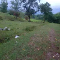 زمین مسکونی در شفت روستای خرفکل منطقه خوش آب و هوا