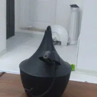 لوستر مشکی مدرن