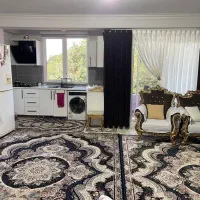 آپارتمان  60 متری سند تک برگ