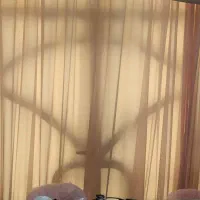 پرده
