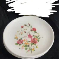 ظرف|ظروف سرو و پذیرایی|محمدشهر, محمدشهر|دیوار