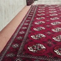 قالیچه دست بافت|فرش|بندر ترکمن, |دیوار