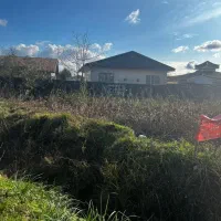 زمین ۲۵۰ متری زیباکتار