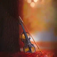 آموزش ویولون