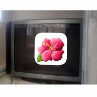 وسایل منزل تابلو و پرده وشلف|پرده، رانر، رومیزی|زنجان, |دیوار