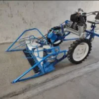 دروگرایتالیایی