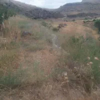 فروش زمین کشاورزی در روستایی رویندزق