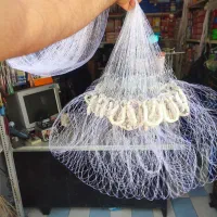 تور ماهیگیری|ماهیگیری|سروآباد, |دیوار