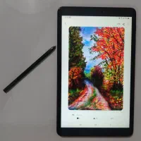 تبلت سامسونگ (قلم دار) Galaxy A8 2019 with S pen|تبلت|تهران, امانیه|دیوار