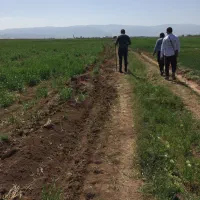 زمین-برای-احداث-باغ-ویلا