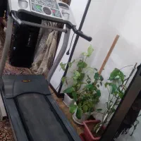 تردمیل|تجهیزات ورزشی|برخوار, |دیوار