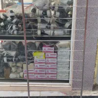 رگال فلزی مناسب کاغذ کادو و شال و روسری و ...|فروشگاه و مغازه|اندیمشک, |دیوار