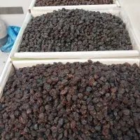 کشمش و میز|خوردنی و آشامیدنی|کرمان, |دیوار