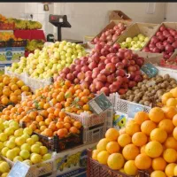 میوه فروشی مشارکت سرمایه گزاری نمایندگی|استخدام بازاریابی و فروش|تهران, میدان میوه و ترهبار مرکزی|دیوار