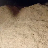 کاه گندم دیم