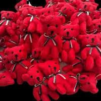 انواع عروسک جاکلیدی وآویز