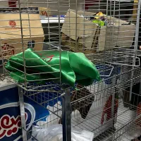 یخچال سه درب|فروشگاه و مغازه|مشهد, کوی المهدی|دیوار