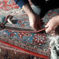 قالیشویی تضمینی یکتا|خدمات نظافت|اراک, |دیوار