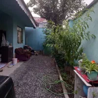 اجاره خانه ویلادر شهرک حمیدیان خیابان باهنر|اجارهٔ خانه و ویلا|رشت, ولکس|دیوار