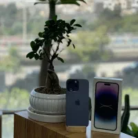 14promax|موبایل|کرج, عظیمیه|دیوار