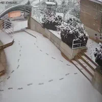 فروش-باغ-2500متری-صدرا