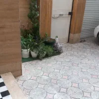 منزل مبله نوساز همکف با پارکینگ و امکانات کامل|اجارهٔ کوتاه‌مدت آپارتمان و سوئیت|شیراز, رکن‌آباد|دیوار