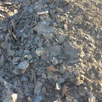 بشرط سالنی کود مرغی|حراج|رامشیر, |دیوار