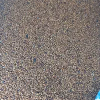 یونجه نیک شهری|گل و گیاه طبیعی|بهبهان, |دیوار