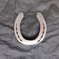 نعل پاخورده فولاد 400 گرمی