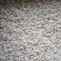 برنج حسنی روشن وشیرودی