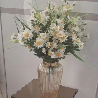 گل بابونه با گلدان