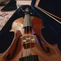 ویولن ۲/۴|ویولن|فردیس, نسترن غربی|دیوار