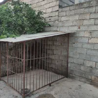 قفس سگ|لوازم جانبی حیوانات|شلمان, |دیوار