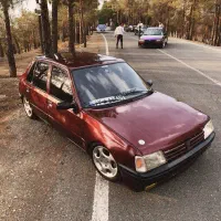 پژو ۲۰۵|خودرو سواری و وانت|تهران, آبشار تهران (دریاچه)|دیوار