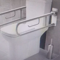 تبدیل توالت/ارتفاع دهنده توالت/دستگیره|آرایشی، بهداشتی، درمانی|شیراز, بالا کفت|دیوار