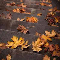 جاکارتی گمشده جوادلندرانی