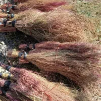 جارو|جاروبرقی، جارو شارژی، بخارشو|بیرانوند, |دیوار