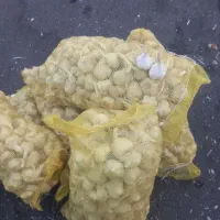سیر خشک همدان