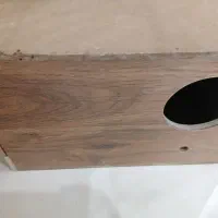 عروس هلندی با همه چی|پرنده|تهران, شکیبا|دیوار