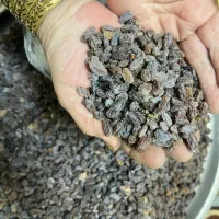 کشمش مویز افتابی بوانات