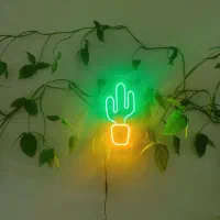 نئون فلکسی .فتو نئون
