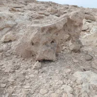 سنگ های قدیمی|کلکسیون اشیاء عتیقه|قم, ناصردیوان|دیوار